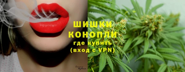 гашик Нефтегорск