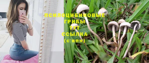 гашик Нефтегорск
