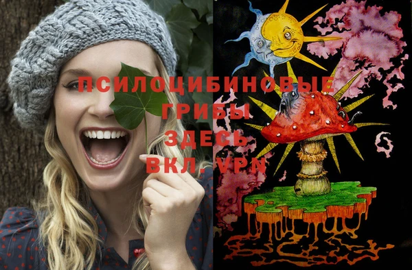 гашик Нефтегорск