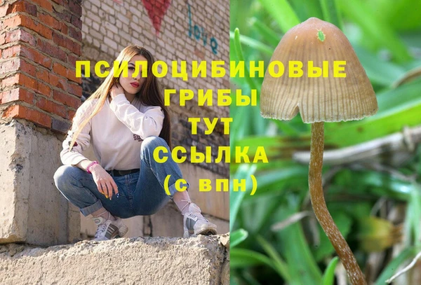 мефедрон мука Нефтекумск