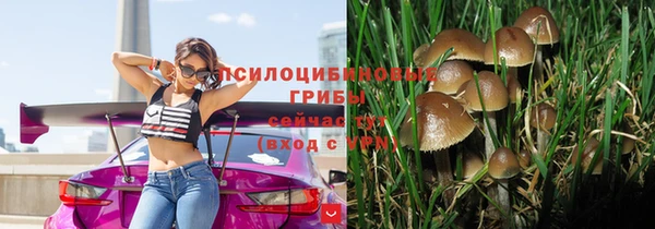 гашик Нефтегорск