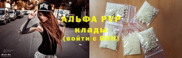 гашик Нефтегорск