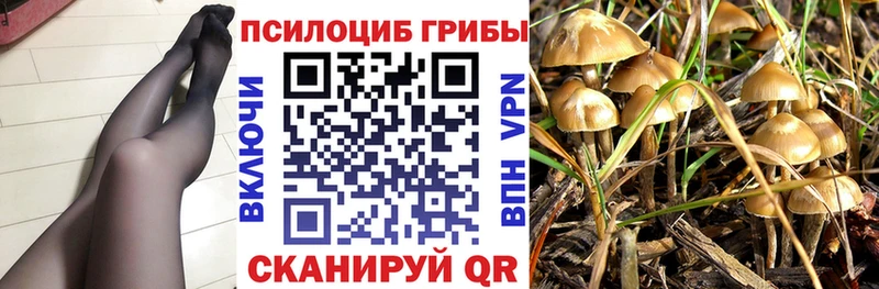 Псилоцибиновые грибы GOLDEN TEACHER  Купить где  Нижняя Тура 